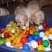 picture-0004