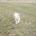 picture-0017