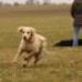IMG 3493.thumbnail.JPG