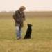 IMG 3495.thumbnail.JPG