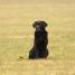 IMG 3497.thumbnail.JPG