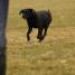 IMG 3499.thumbnail.JPG