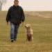 IMG 3500.thumbnail.JPG