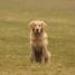 IMG 3502.thumbnail.JPG