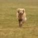 IMG 3503.thumbnail.JPG