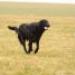 IMG 3507.thumbnail.JPG