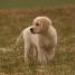 IMG 3509.thumbnail.JPG