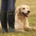 IMG 3514.thumbnail.JPG