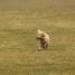 IMG 3516.thumbnail.JPG