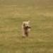 IMG 3517.thumbnail.JPG