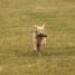 IMG 3518.thumbnail.JPG