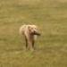 IMG 3519.thumbnail.JPG