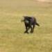 IMG 3524.thumbnail.JPG