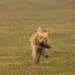 IMG 3531.thumbnail.JPG