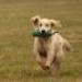 IMG 3542.thumbnail.JPG