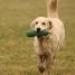 IMG 3544.thumbnail.JPG