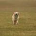 IMG 3551.thumbnail.JPG