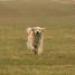 IMG 3552.thumbnail.JPG