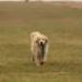 IMG 3553.thumbnail.JPG