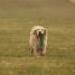 IMG 3554.thumbnail.JPG