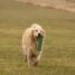 IMG 3555.thumbnail.JPG