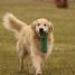 IMG 3557.thumbnail.JPG