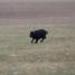 IMG 3558.thumbnail.JPG