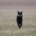 IMG 3562.thumbnail.JPG