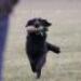 IMG 3566.thumbnail.JPG