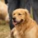 IMG 3568.thumbnail.JPG