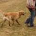 IMG 3584.thumbnail.JPG