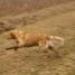 IMG 3587.thumbnail.JPG