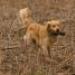 IMG 3595.thumbnail.JPG