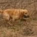 IMG 3597.thumbnail.JPG