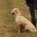 IMG 3601.thumbnail.JPG