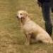 IMG 3603.thumbnail.JPG