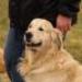 IMG 3610.thumbnail.JPG