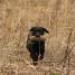 IMG 3614.thumbnail.JPG