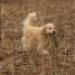 IMG 3637.thumbnail.JPG