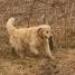 IMG 3640.thumbnail.JPG