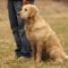 IMG 3665.thumbnail.JPG