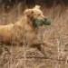 IMG 3673.thumbnail.JPG