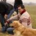IMG 3676.thumbnail.JPG
