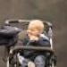 IMG 3681.thumbnail.JPG