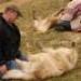 IMG 3690.thumbnail.JPG