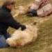 IMG 3691.thumbnail.JPG