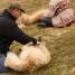 IMG 3692.thumbnail.JPG