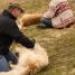 IMG 3693.thumbnail.JPG
