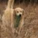 IMG 3704.thumbnail.JPG