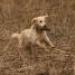 IMG 3724.thumbnail.JPG
